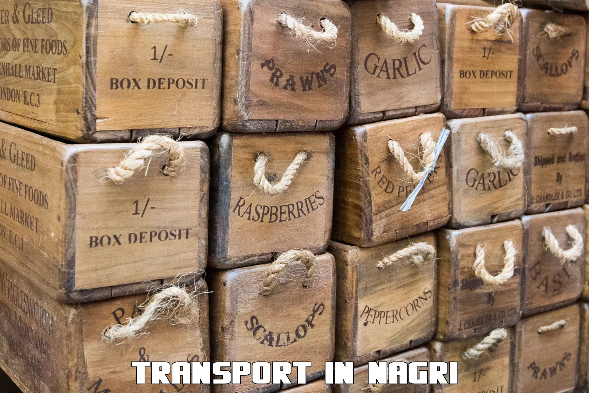 Cargo transport services in Nagri