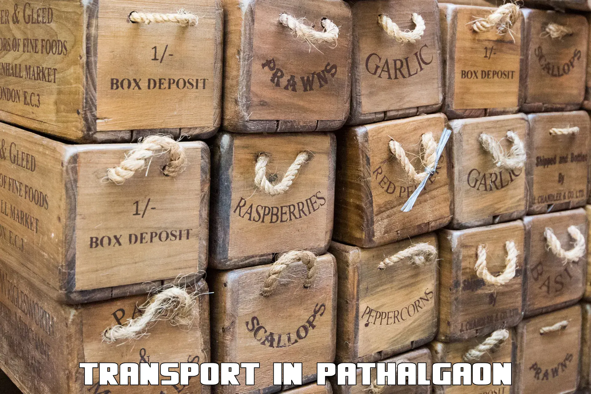 Luggage transport services in Pathalgaon